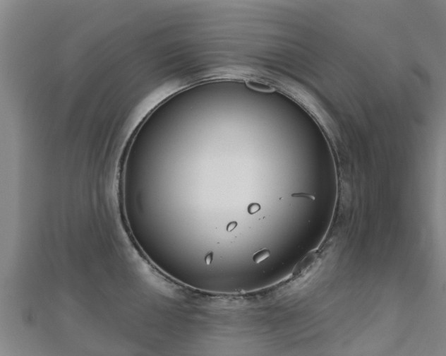 X0000110721050200906191502