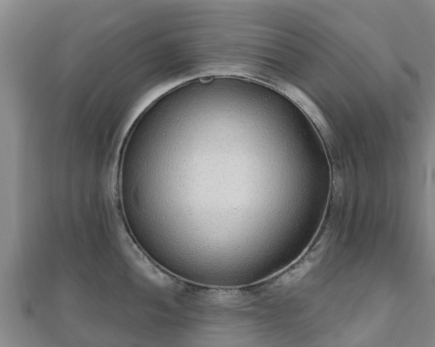 X0000110721052200906191502