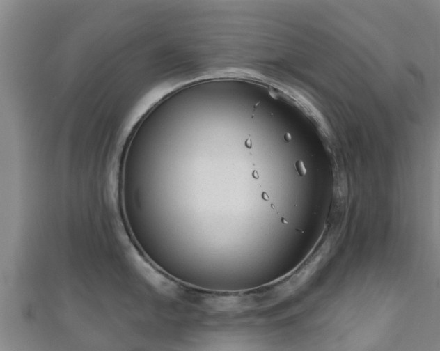 X0000110721054200906191502