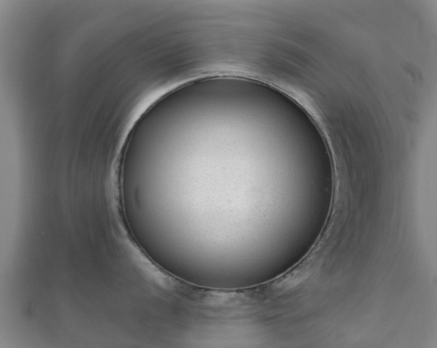 X0000110721056200906191502