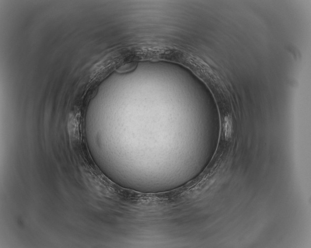 X0000110721059200906191501