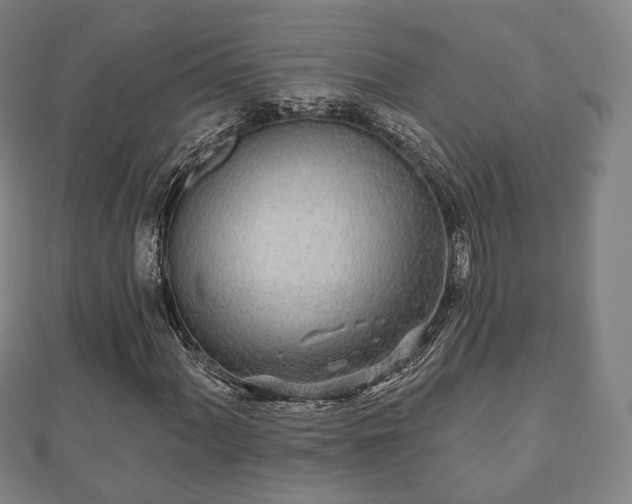X0000110721060200906191501