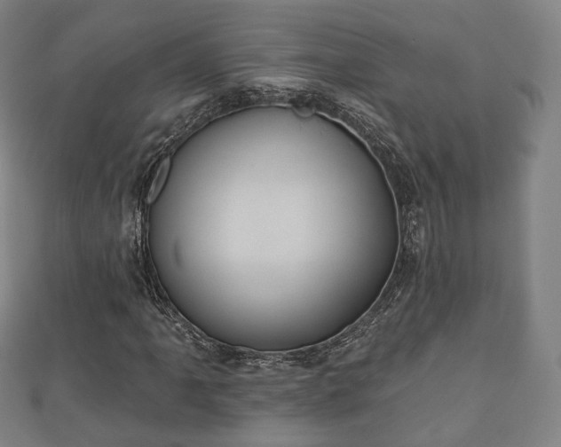 X0000110721061200906191501