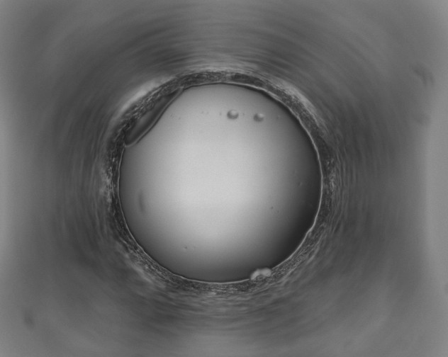 X0000110721064200906191501