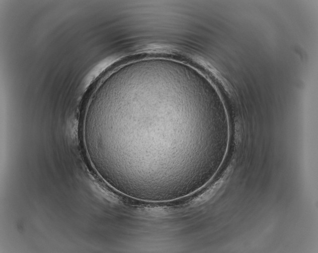 X0000110721066200906191501