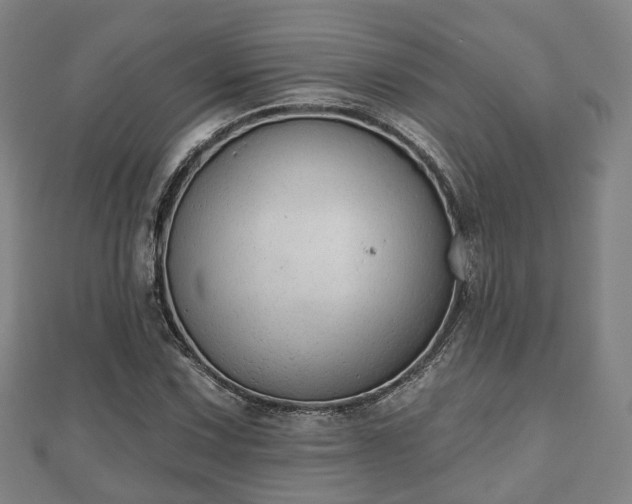 X0000110721067200906191501