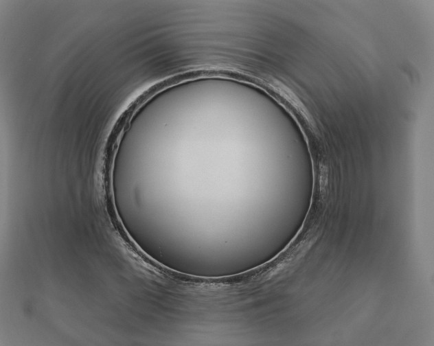 X0000110721068200906191501
