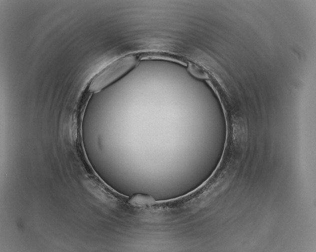 X0000110721069200906191501