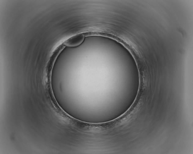 X0000110721070200906191501