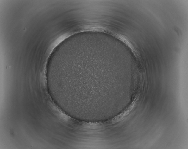 X0000110721071200906191501