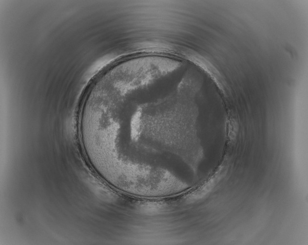 X0000110721074200906191501