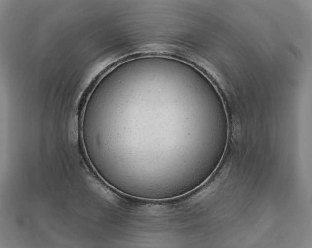 X0000110721075200906191501