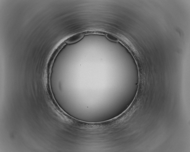 X0000110721076200906191501