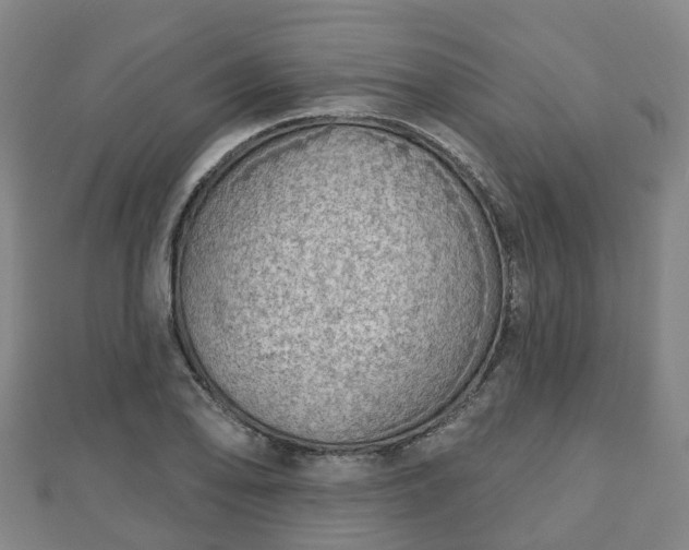 X0000110721078200906191501