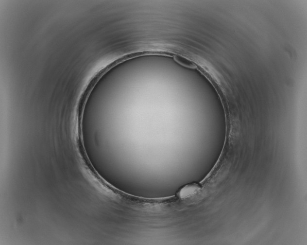 X0000110721080200906191501