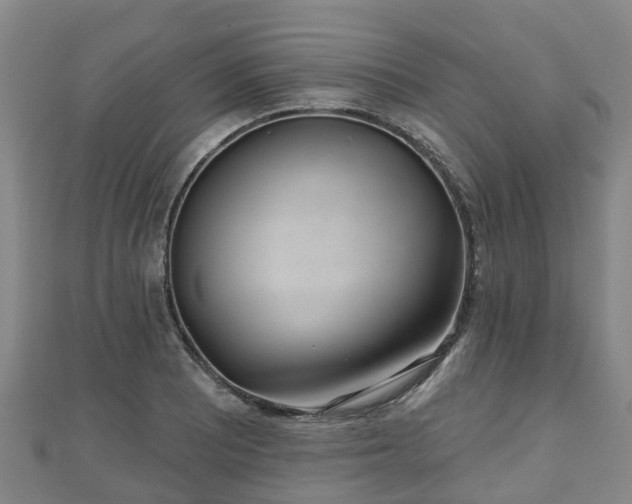 X0000110721081200906191501