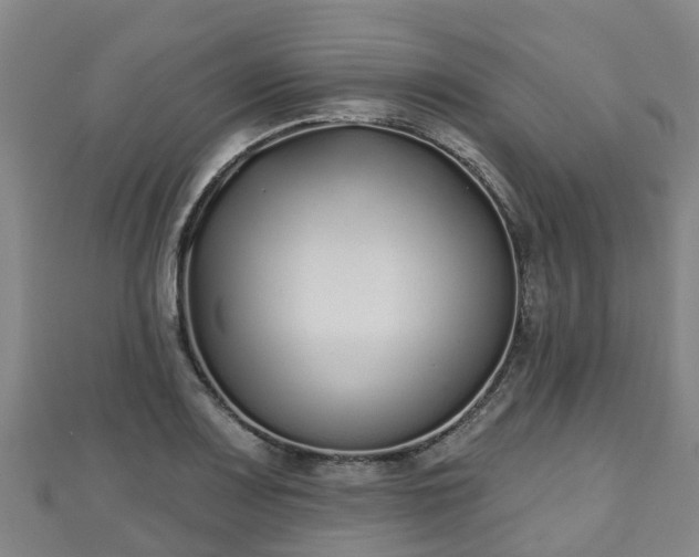 X0000110721083200906191501