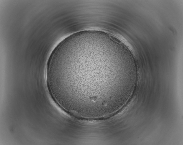 X0000110721084200906191501