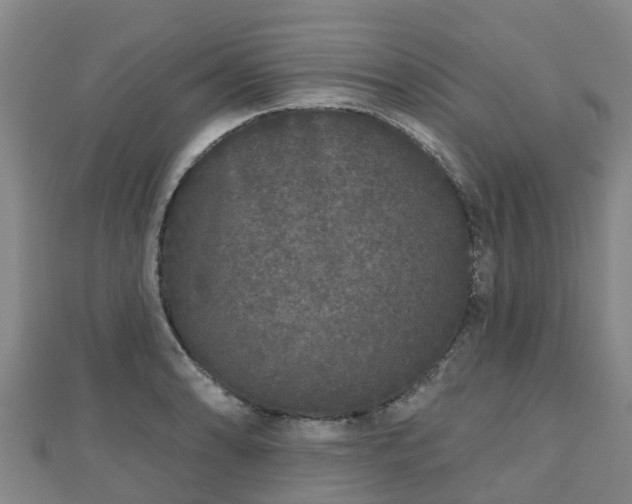 X0000110721086200906191501