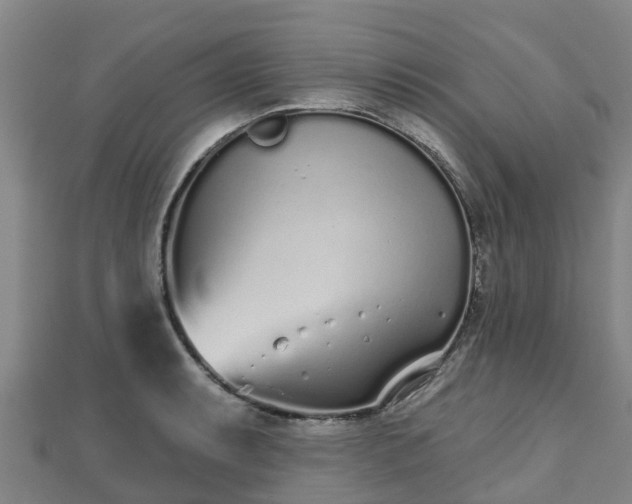 X0000110721087200906191501