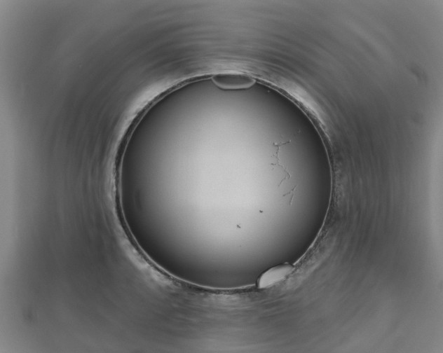 X0000110721088200906191501