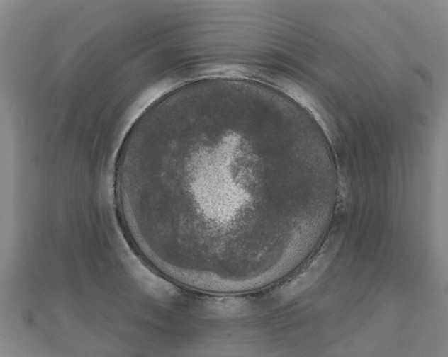 X0000110721090200906191501