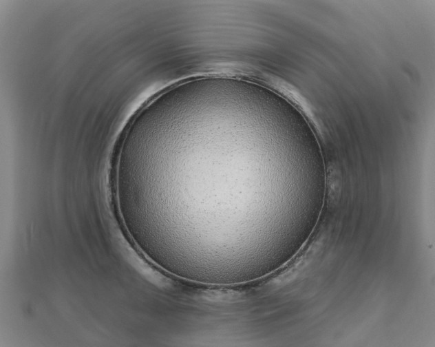 X0000110721091200906191501
