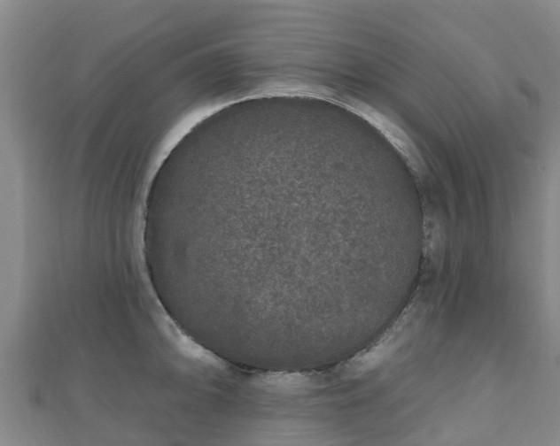 X0000110721094200906191501