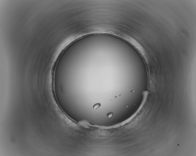 X0000110721096200906191501