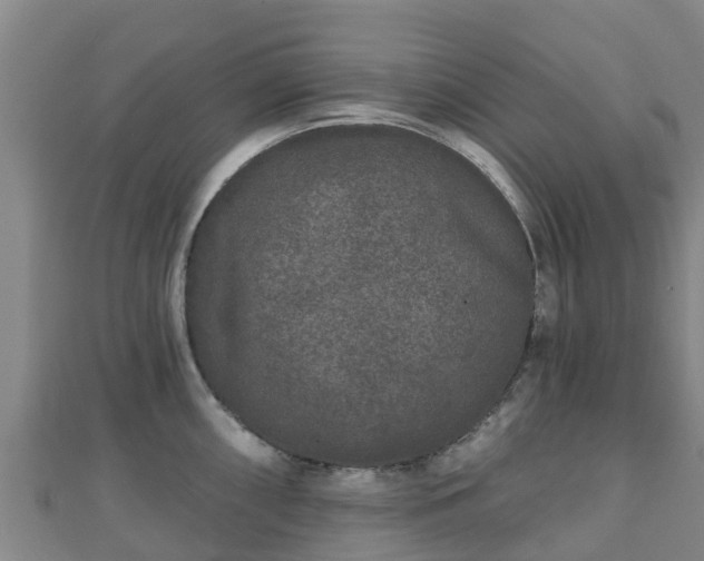 X0000110721098200906191501