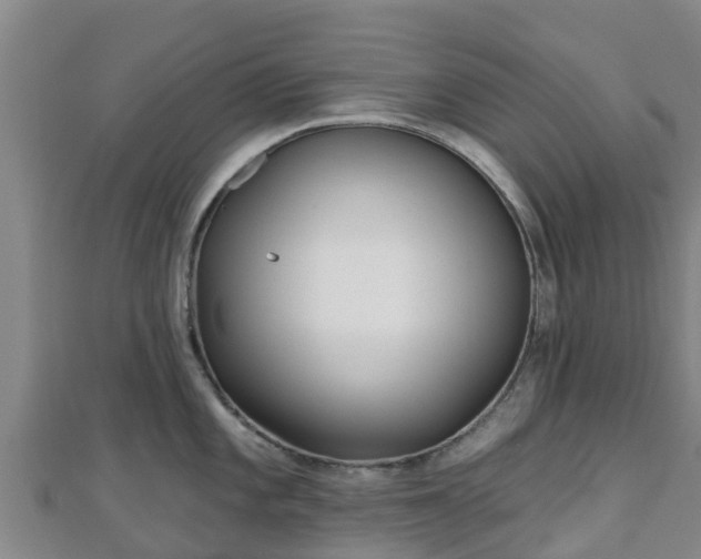 X0000110721101200906191501