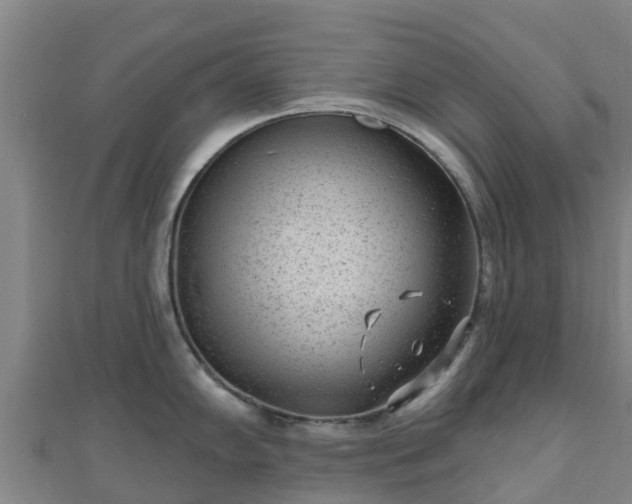 X0000110721102200906191501