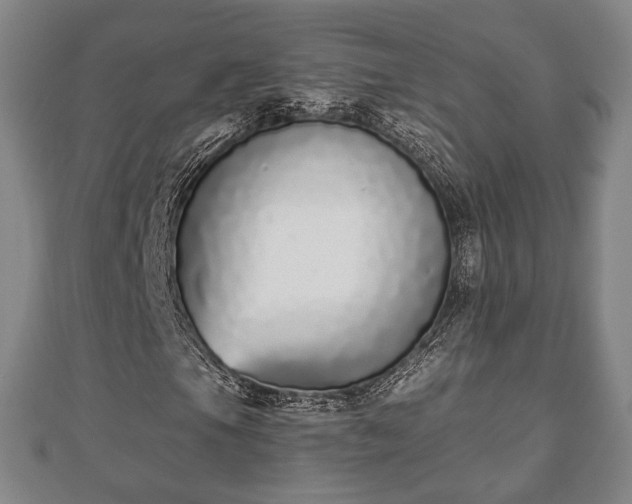 X0000110721105200906191500