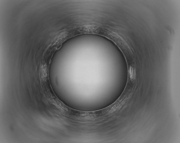 X0000110721107200906191500
