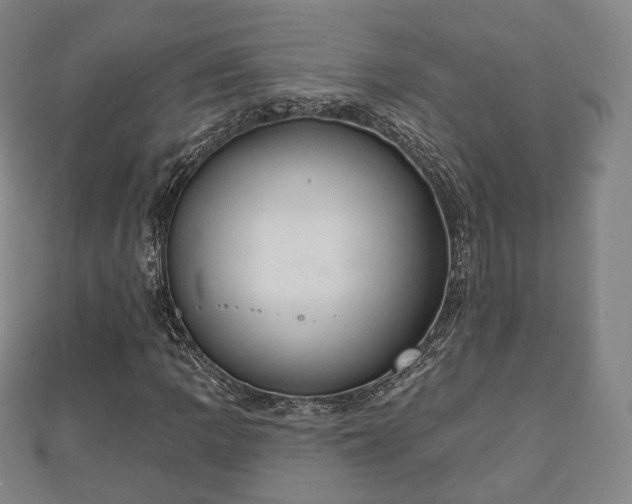 X0000110721109200906191500