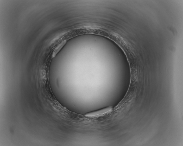 X0000110721110200906191500