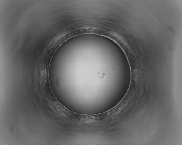 X0000110721111200906191500