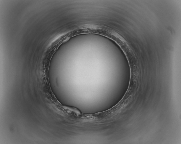 X0000110721112200906191500