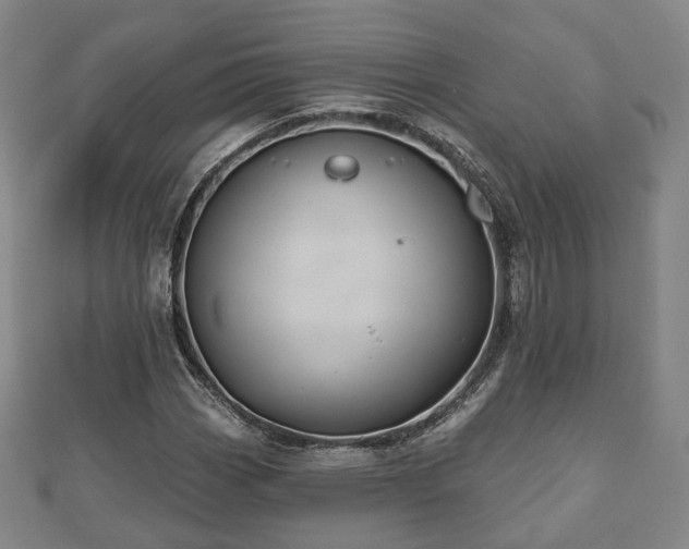 X0000110721113200906191500