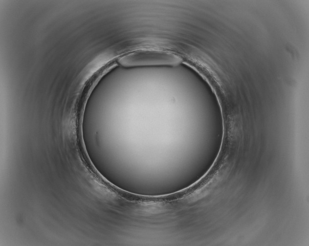 X0000110721114200906191500