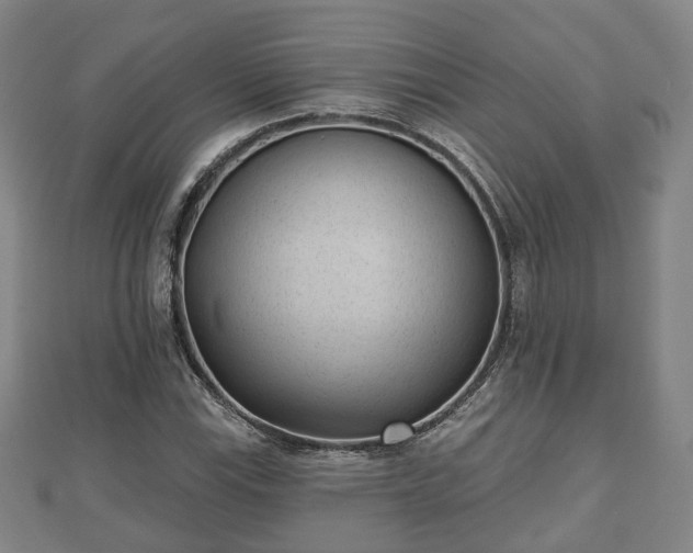 X0000110721115200906191500