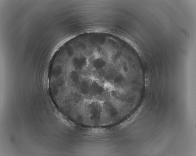 X0000110721117200906191500