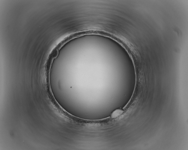 X0000110721118200906191500