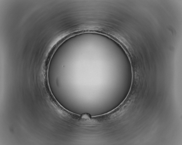 X0000110721119200906191500