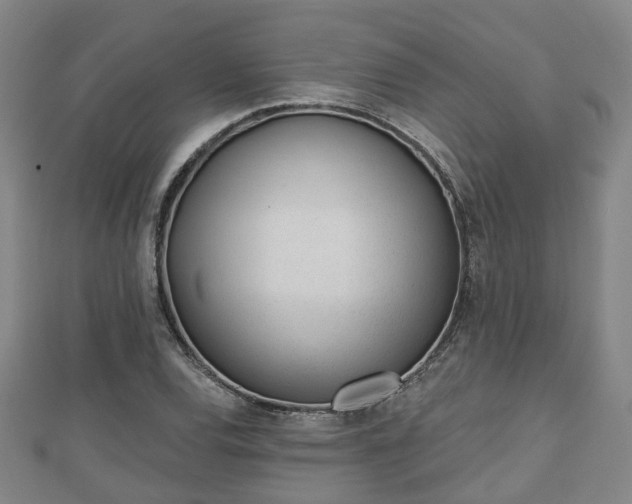 X0000110721120200906191500