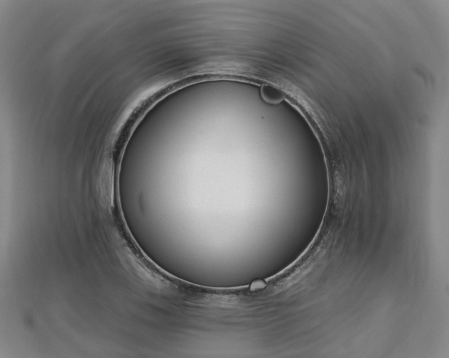 X0000110721123200906191500