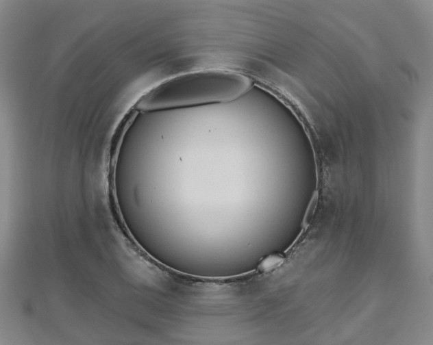 X0000110721124200906191500