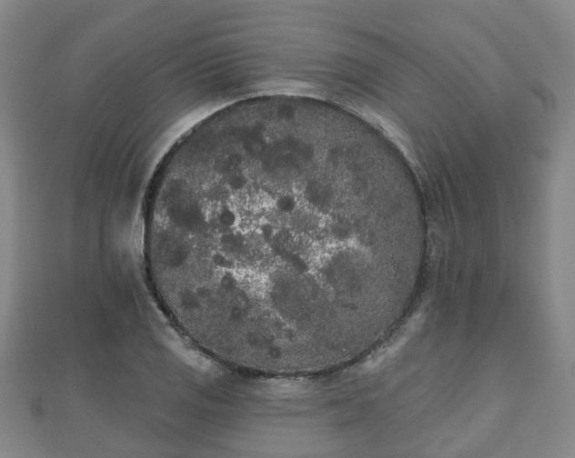 X0000110721125200906191500