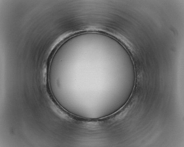 X0000110721126200906191500