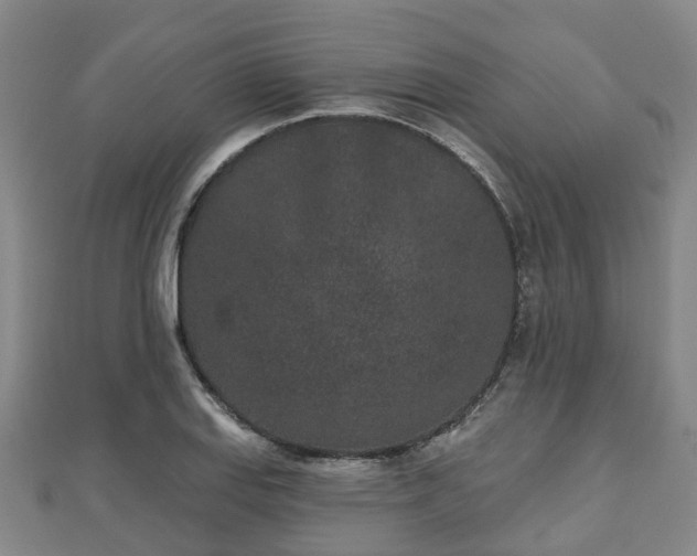 X0000110721127200906191500